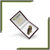 WildLense Owl Lapel Pin Wildlense